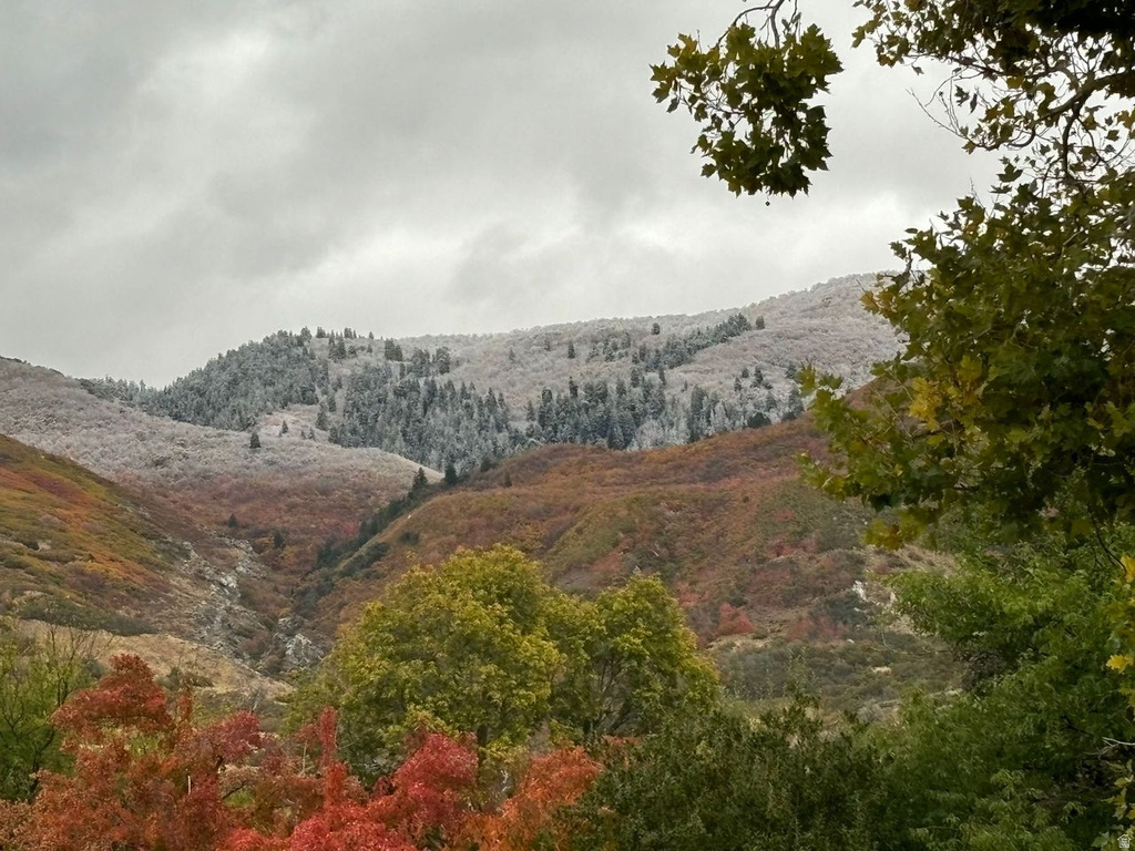 676 S 100 E Farmington, UT 84025