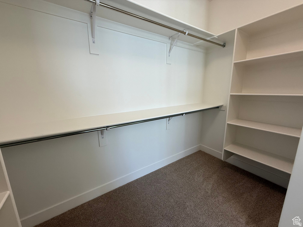 Spacious closet with dark colored carpet