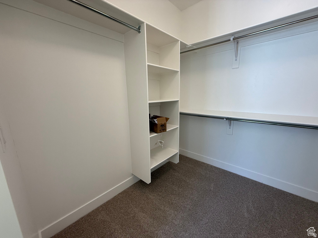 Walk in closet featuring dark carpet