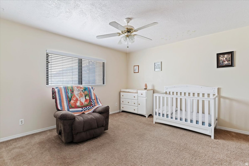 519 W 100 S Brigham City, UT 84302