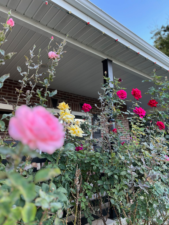 4433 DEVONSHIRE DR Bountiful, UT 84010