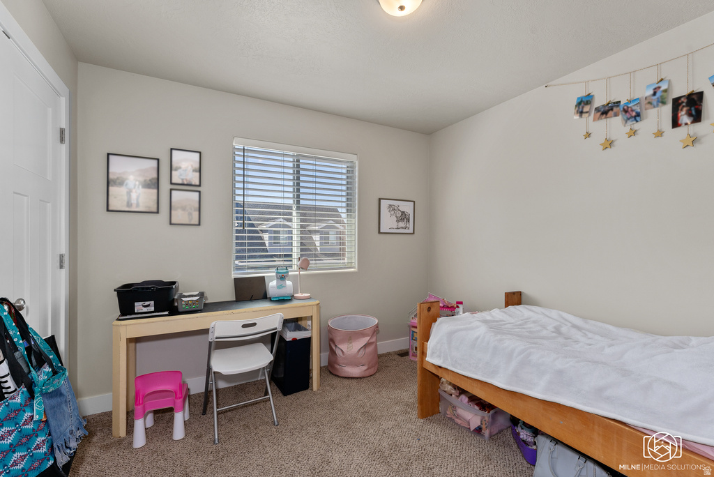 1510 W TOPAZ #C Cedar City, UT 84720