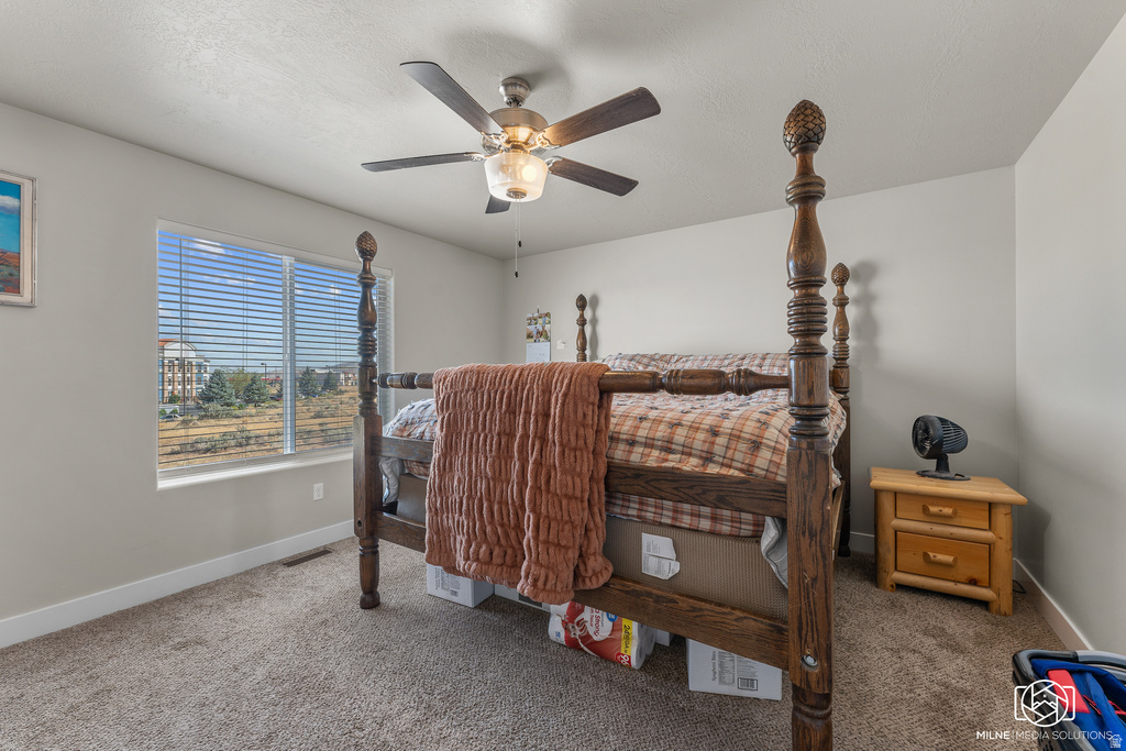 1510 W TOPAZ #C Cedar City, UT 84720