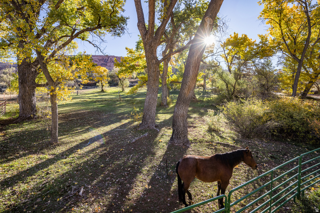 2927 S EAST BENCH RD Moab, UT 84532