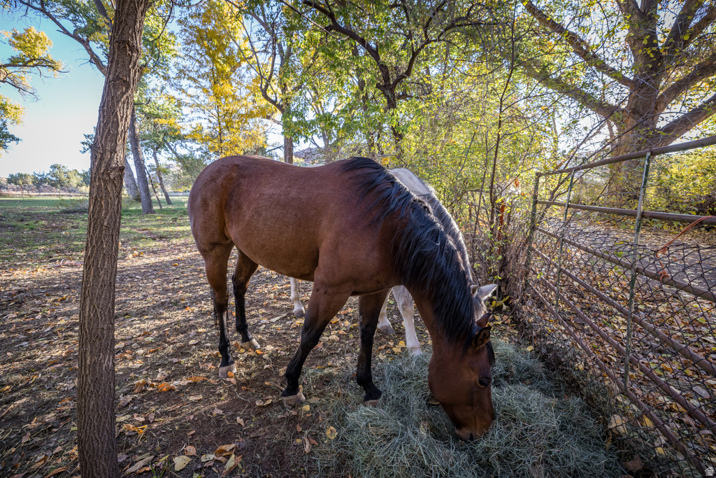 2927 S EAST BENCH RD Moab, UT 84532