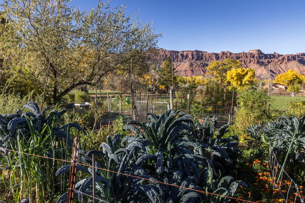 2927 S EAST BENCH RD Moab, UT 84532