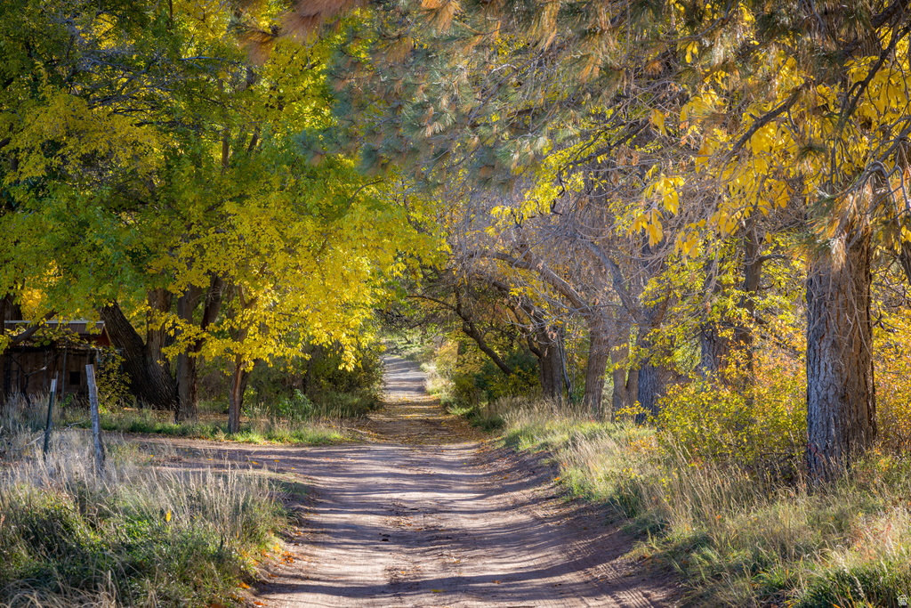 2927 S EAST BENCH RD Moab, UT 84532