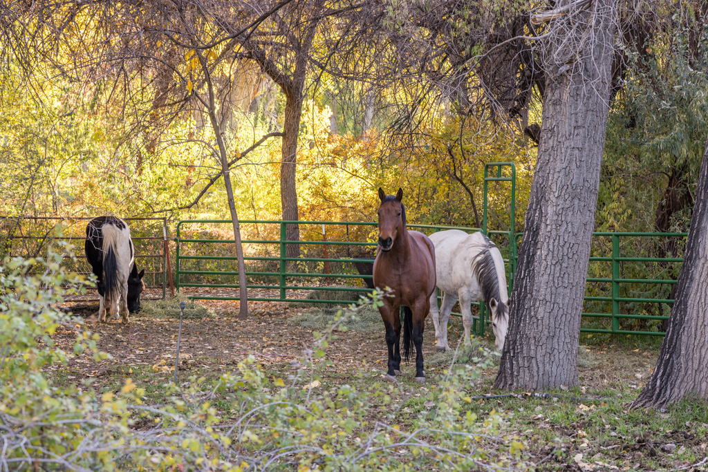 2927 S EAST BENCH RD Moab, UT 84532