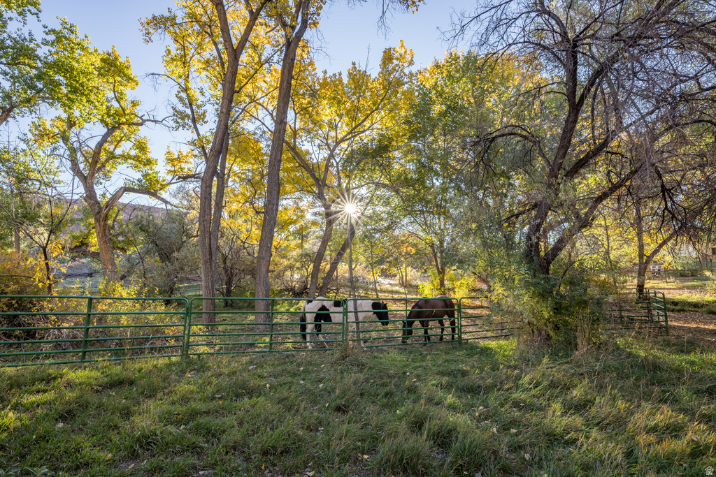 2927 S EAST BENCH RD Moab, UT 84532