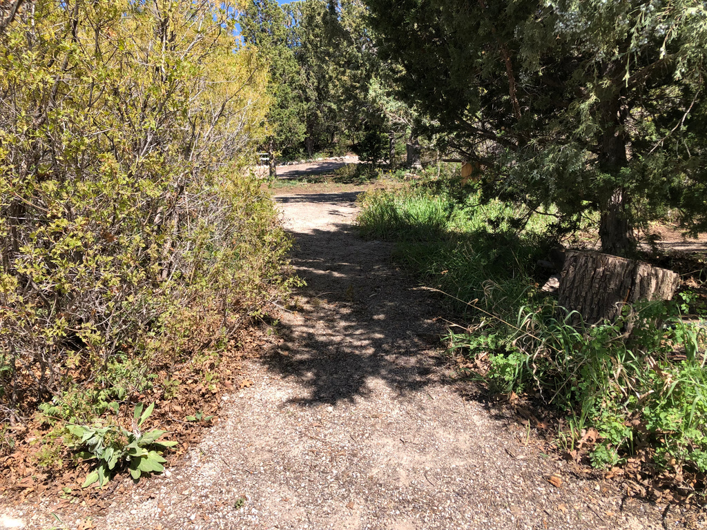 149  MEADOW RD Mt Pleasant, UT 84647