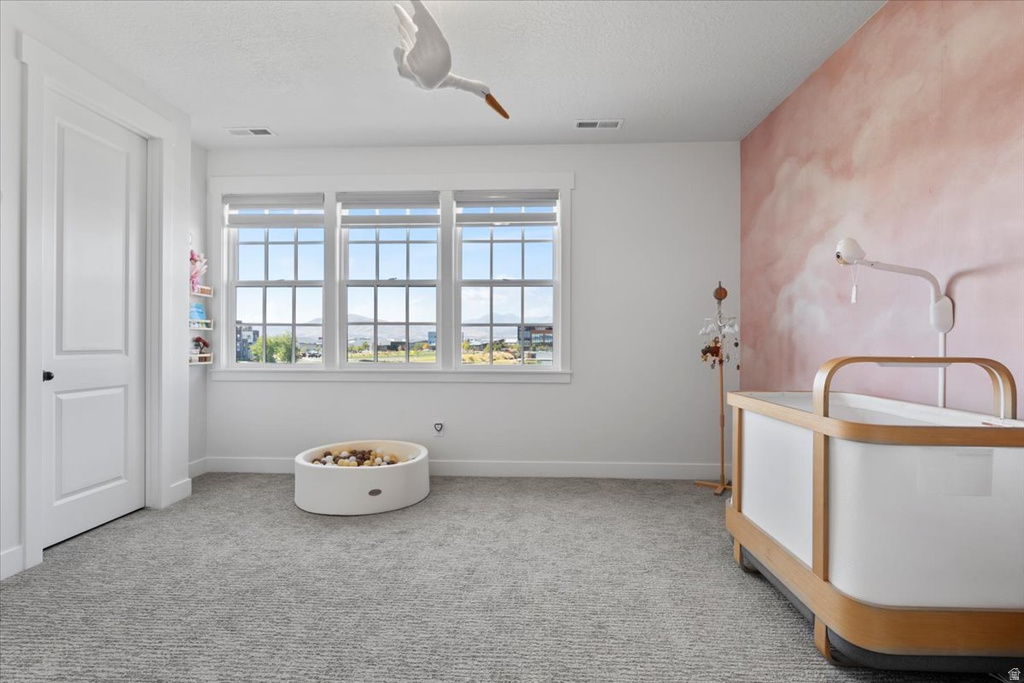 11064 S PADDLE BOARD WAY South Jordan, UT 84009