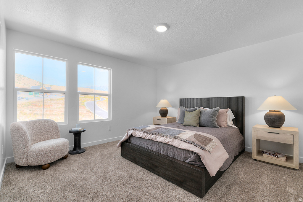 12 E GREENBANK DR #158 Lehi, UT 84048