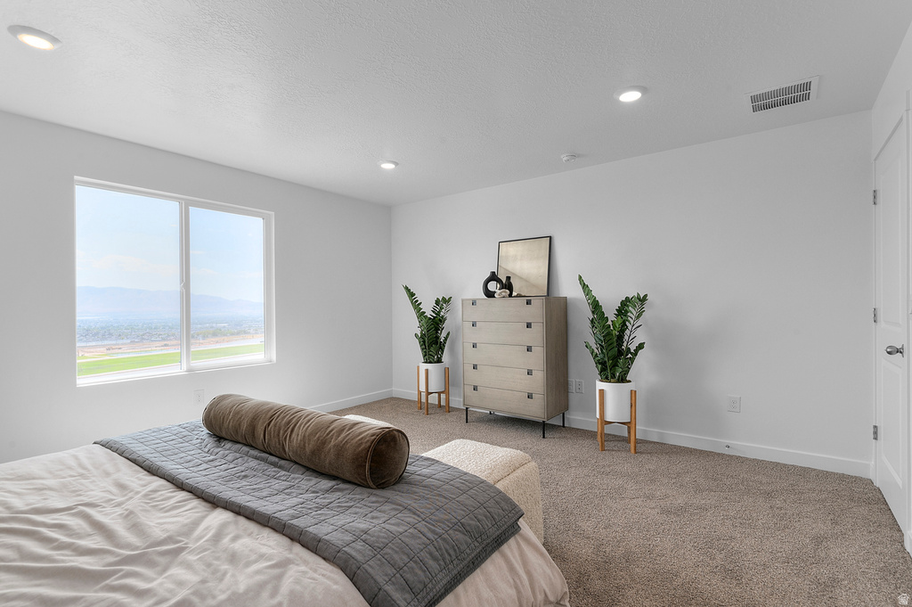 12 E GREENBANK DR #158 Lehi, UT 84048