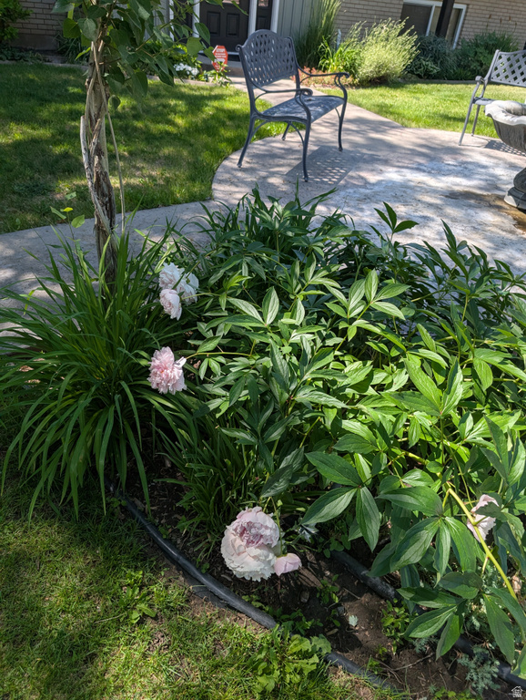 1515 E GENTILE ST Layton, UT 84040