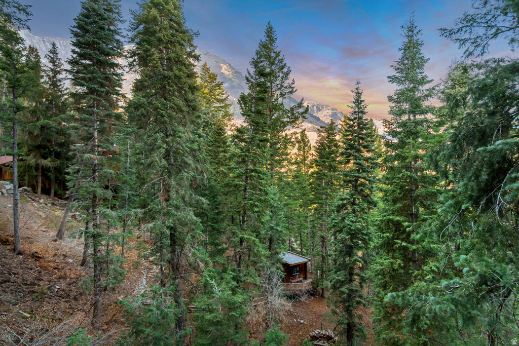 3009 E BLACK FOREST RD Sundance, UT 84604