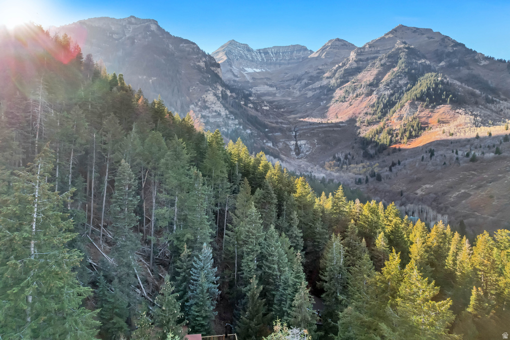 3009 E BLACK FOREST RD Sundance, UT 84604