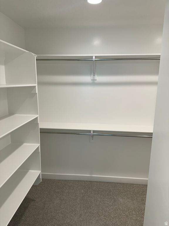 2919 E SERDAR LN #C24 Eagle Mountain, UT 84005