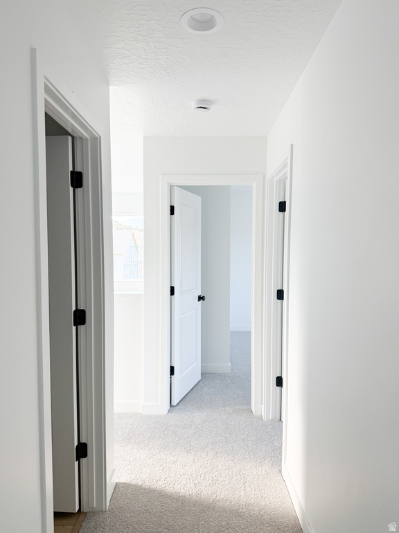 2919 E SERDAR LN #C24 Eagle Mountain, UT 84005