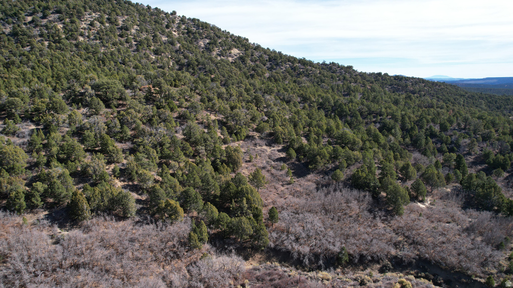 201  HIDDEN CANYON DR Kanab, UT 84741