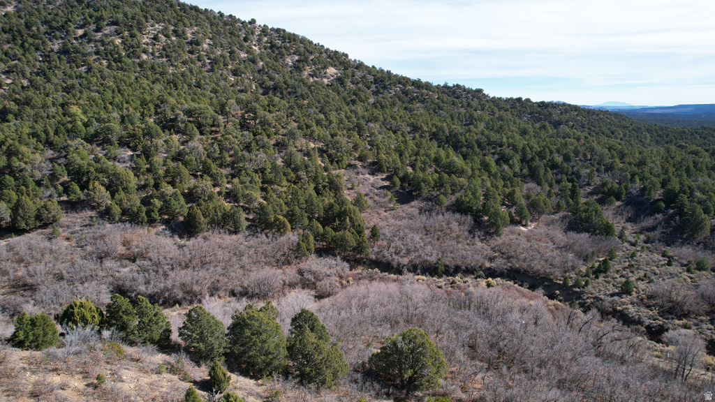 201  HIDDEN CANYON DR Kanab, UT 84741