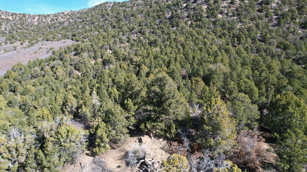 201  HIDDEN CANYON DR Kanab, UT 84741