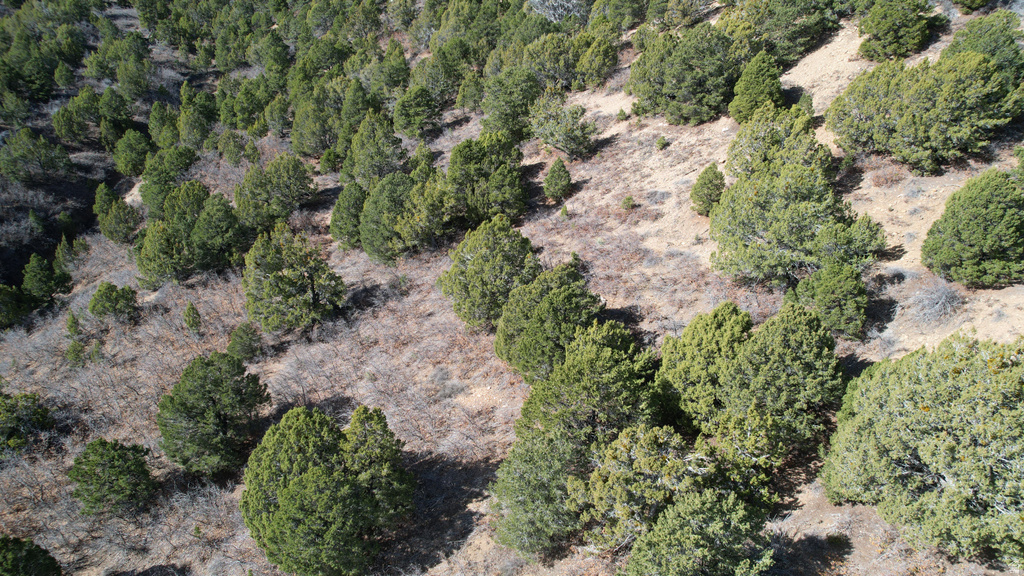 201  HIDDEN CANYON DR Kanab, UT 84741