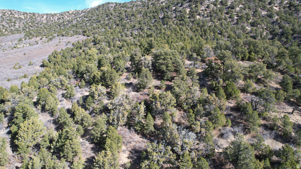 201  HIDDEN CANYON DR Kanab, UT 84741