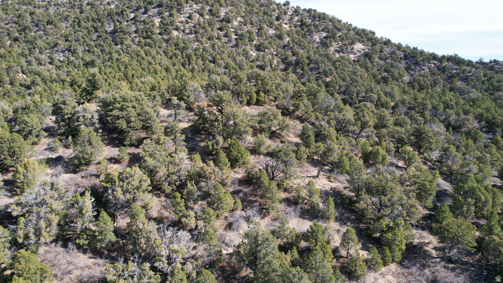 201  HIDDEN CANYON DR Kanab, UT 84741