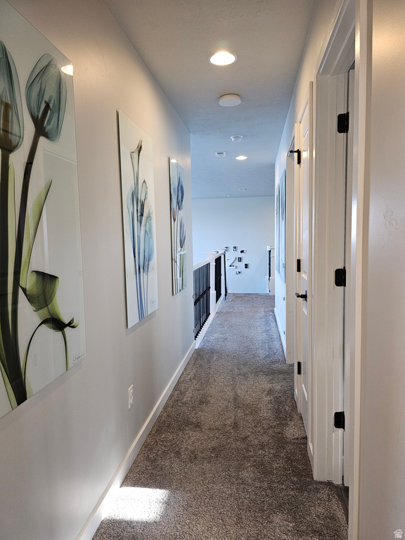 2422 S BLUE WATER LN Saratoga Springs, UT 84045