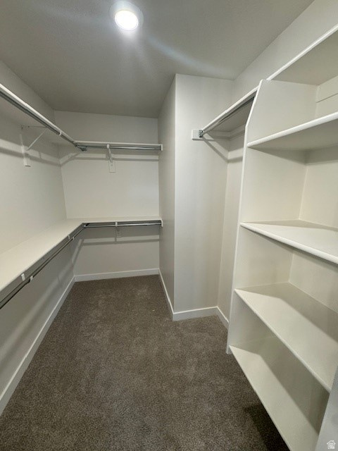 Spacious closet with dark colored carpet