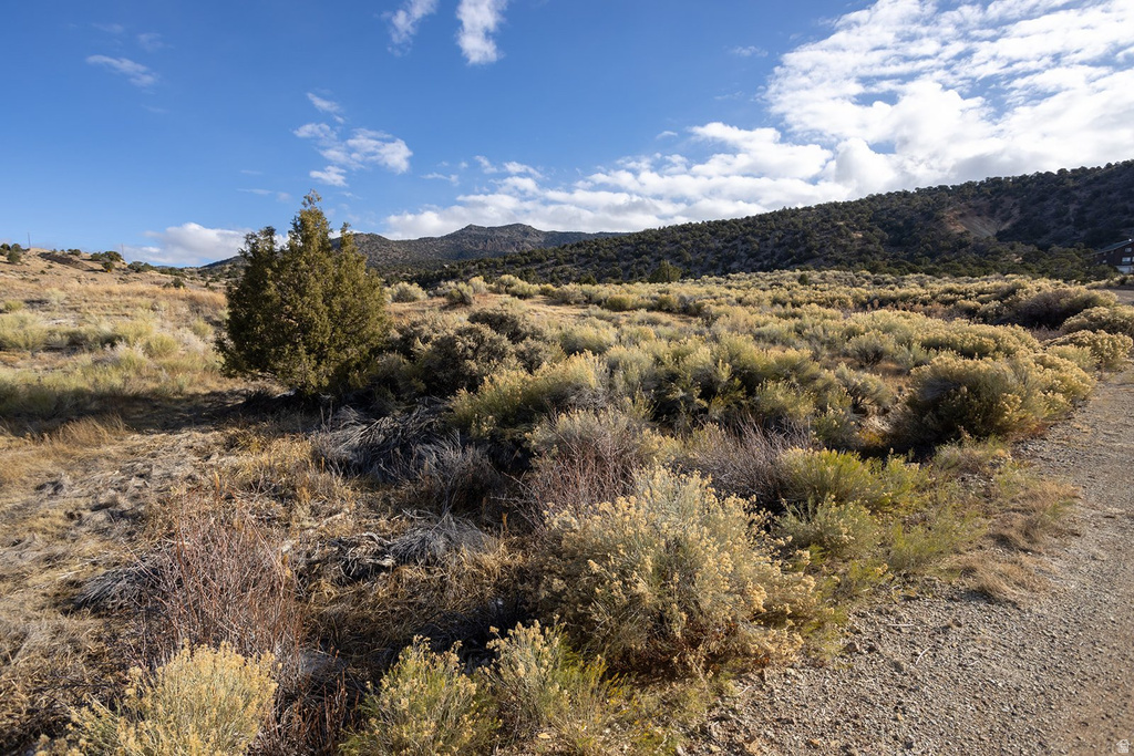 304  LITTLE MEADOW LOOP Antimony, UT 84712
