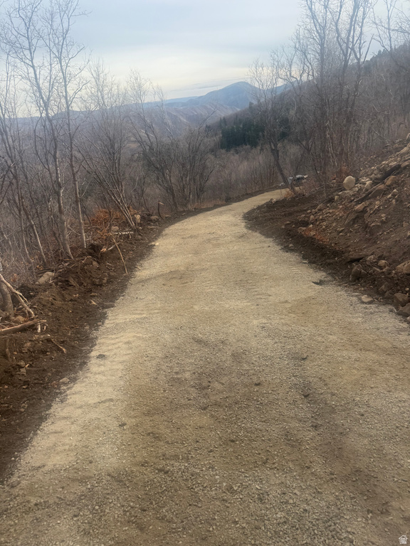 107  WHITTEMORE DR Springville, UT 84663