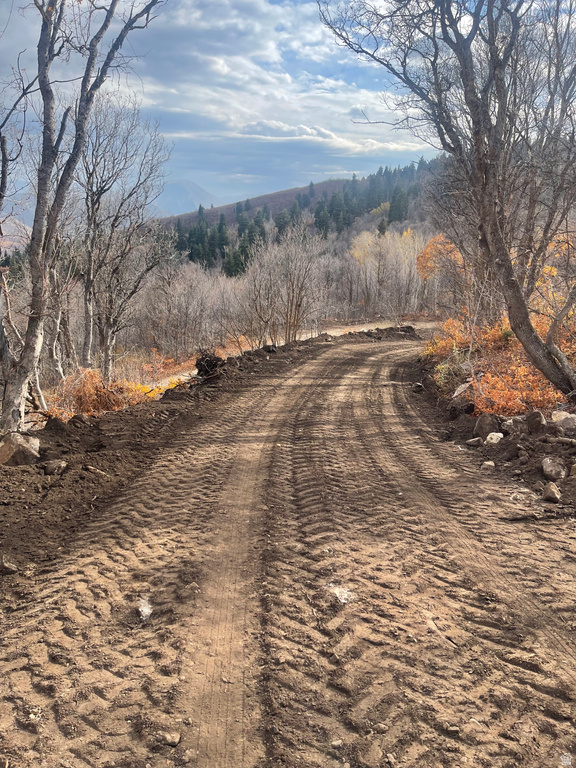 107  WHITTEMORE DR Springville, UT 84663