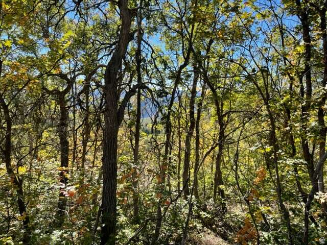 107  WHITTEMORE DR Springville, UT 84663