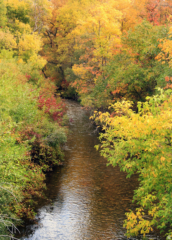 107  WHITTEMORE DR Springville, UT 84663