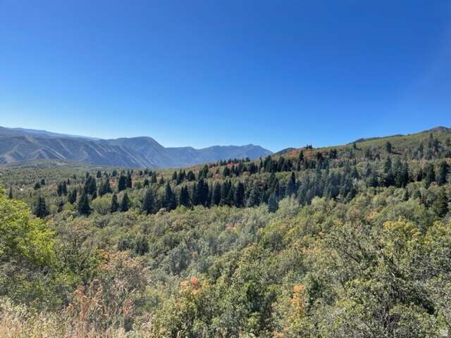 107  WHITTEMORE DR Springville, UT 84663