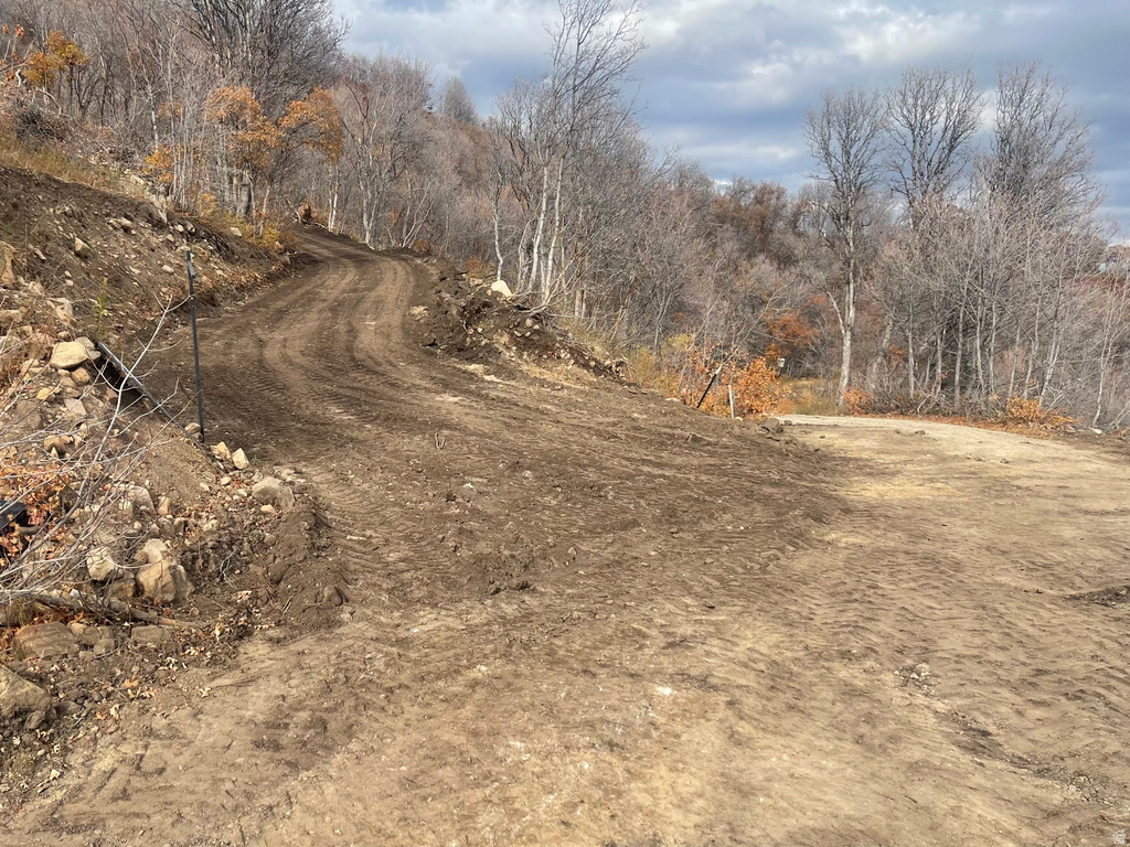 107  WHITTEMORE DR Springville, UT 84663