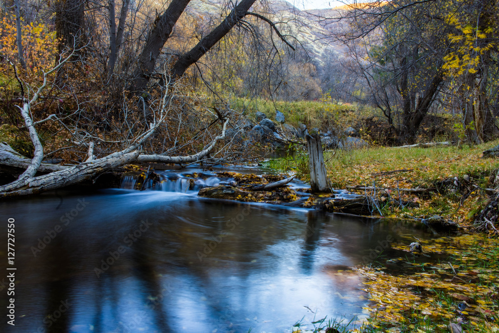 107  WHITTEMORE DR Springville, UT 84663