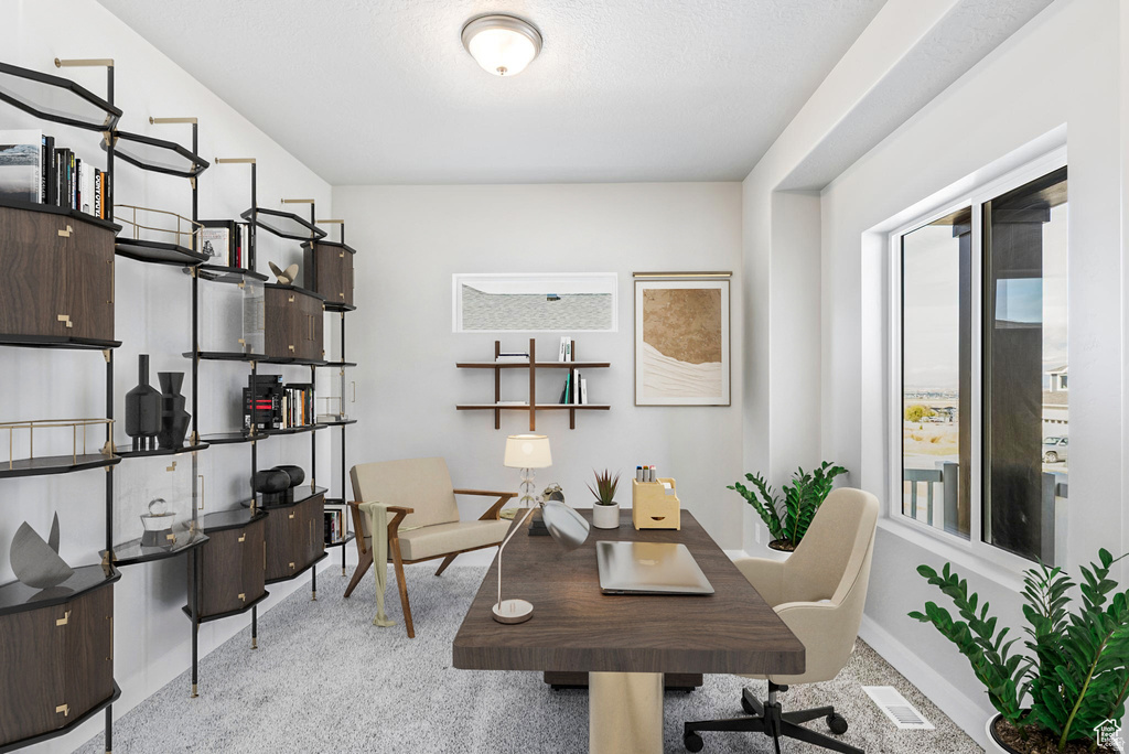 1647 S SAGEBERRY DR #341 Santaquin, UT 84655