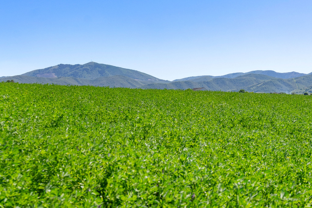 2650 W 6400 S Wellsville, UT 84339