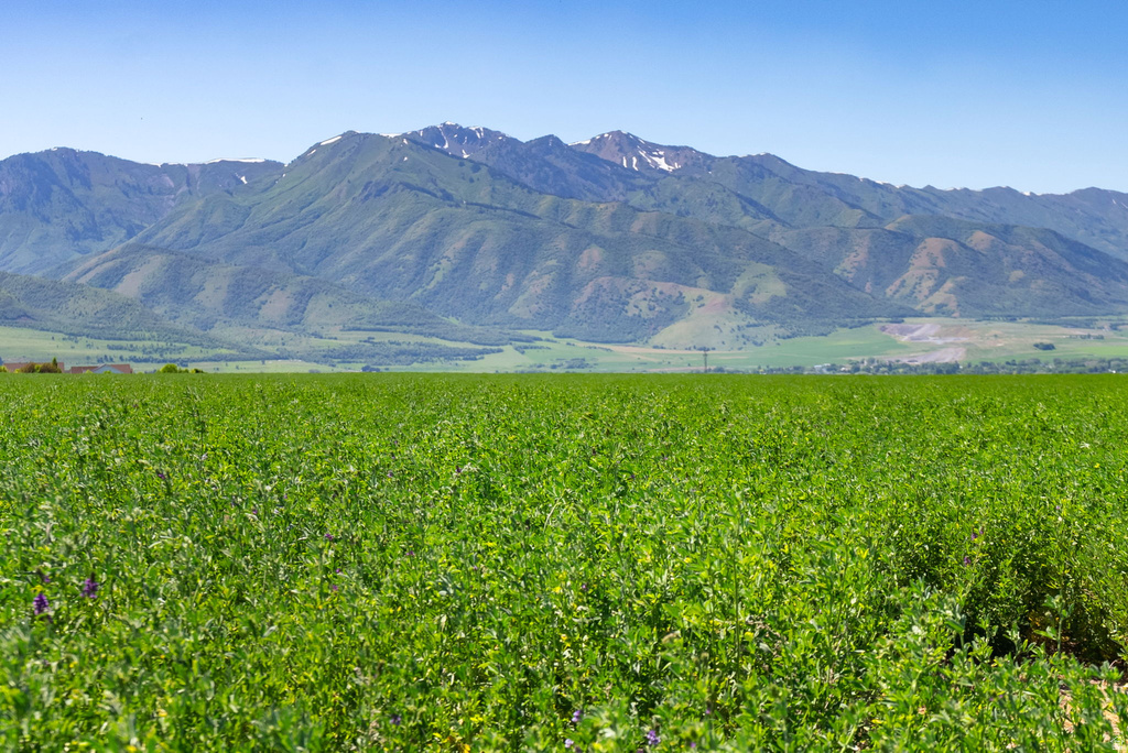 2650 W 6400 S Wellsville, UT 84339