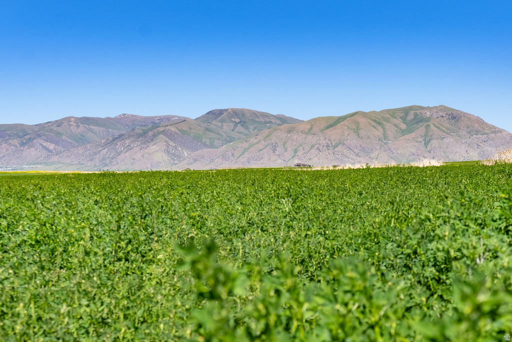 6400 S 2633 W Wellsville, UT 84339