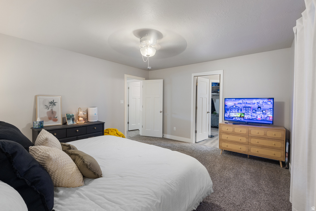 3126 W 1650 N #C Cedar City, UT 84721