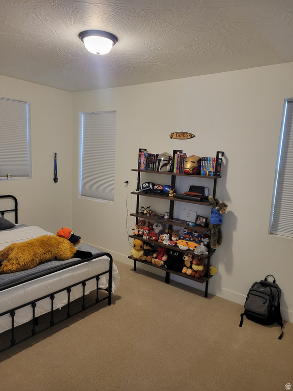 663 W GREEN MOUNTAIN DR St George, UT 84790