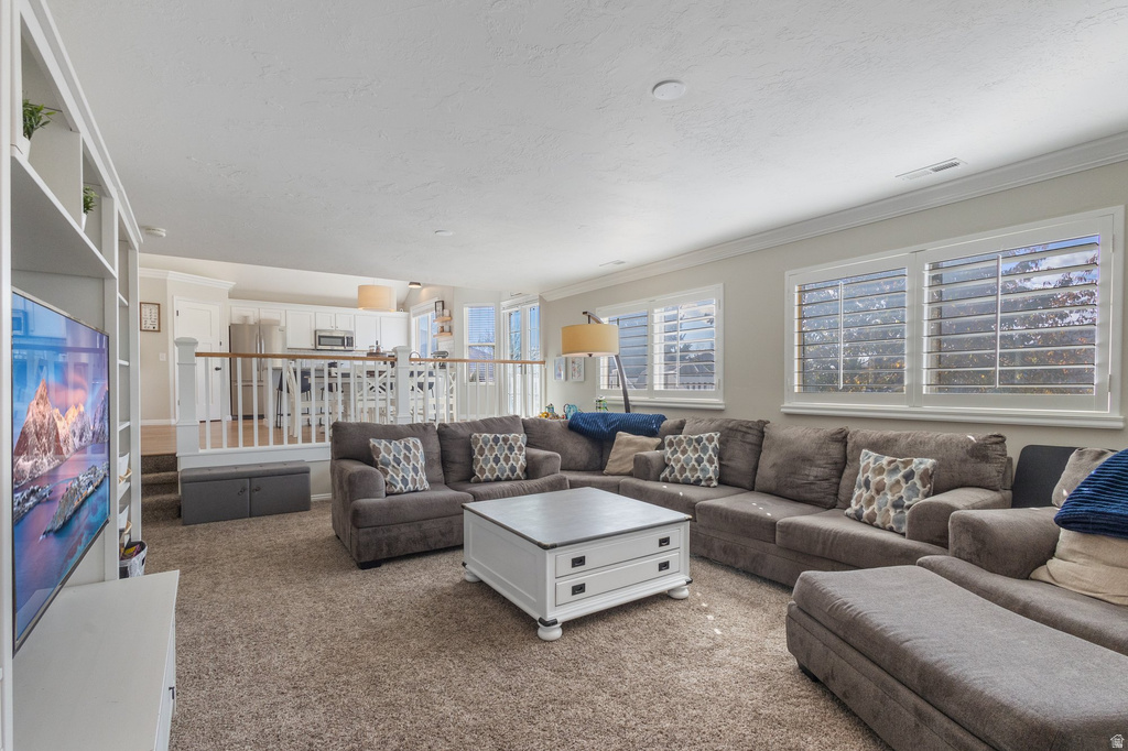 10228 S SNOW IRIS WAY Sandy, UT 84092