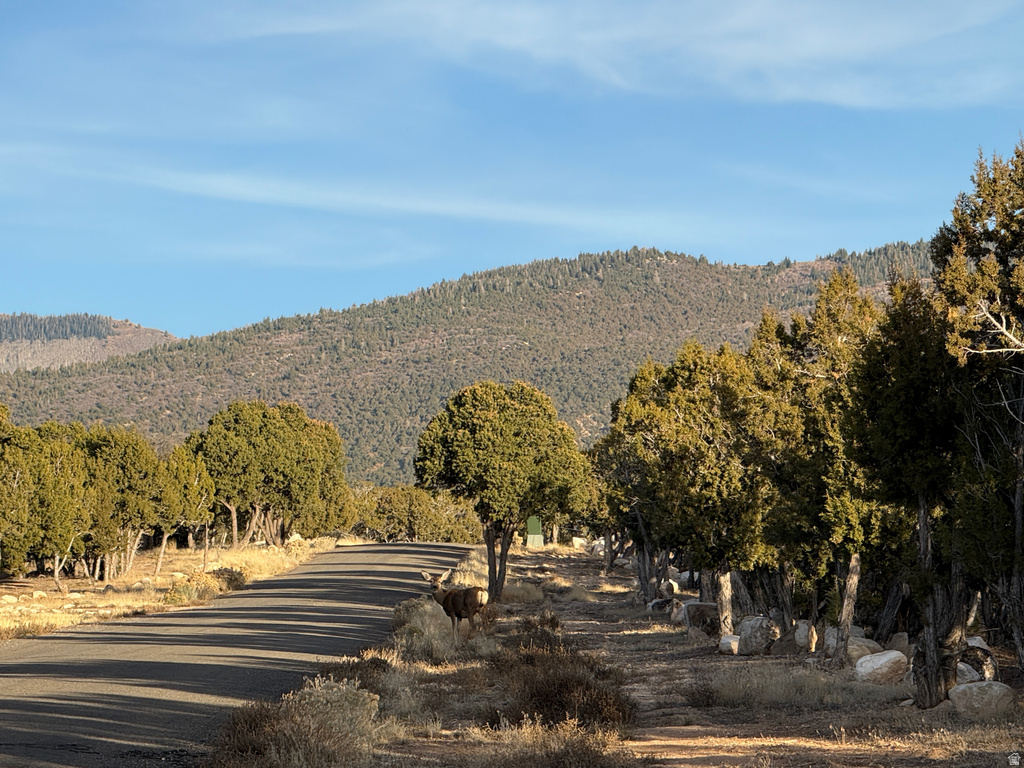 Address Not Available