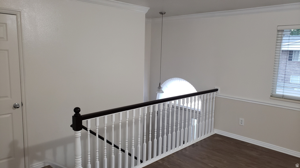 Stairway with wood finished floors and crown molding