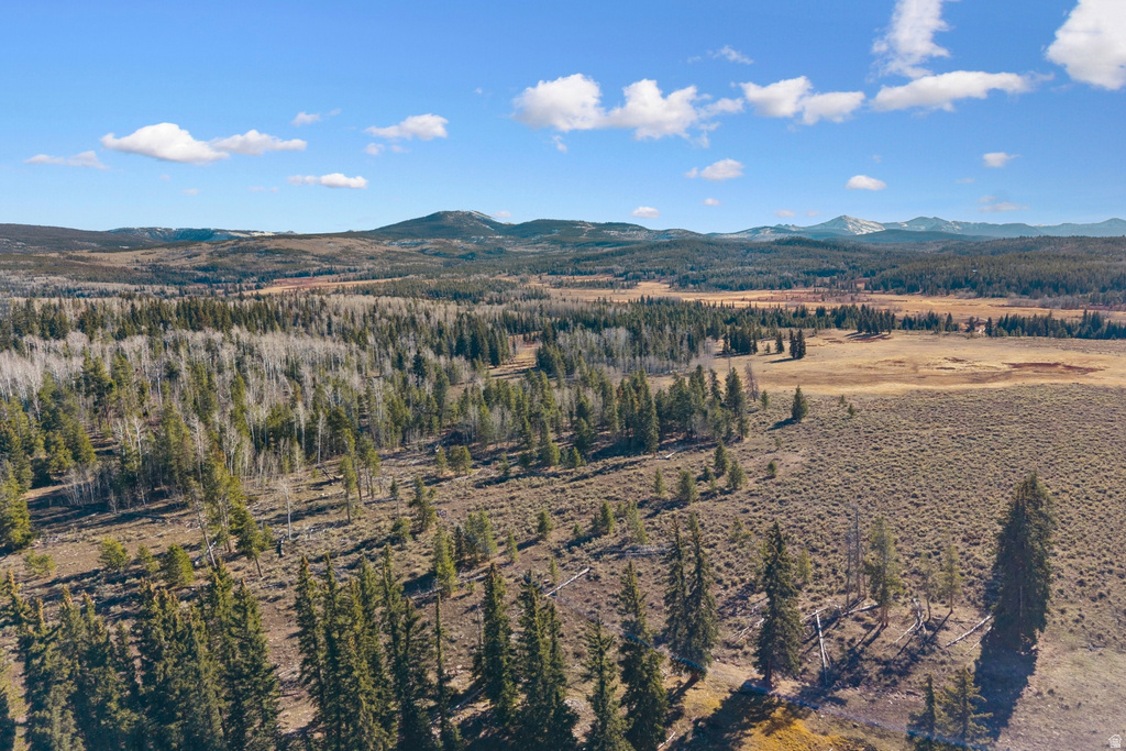 FOREST SERVICE RD Kamas, UT 84036