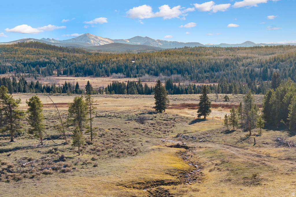 FOREST SERVICE RD Kamas, UT 84036