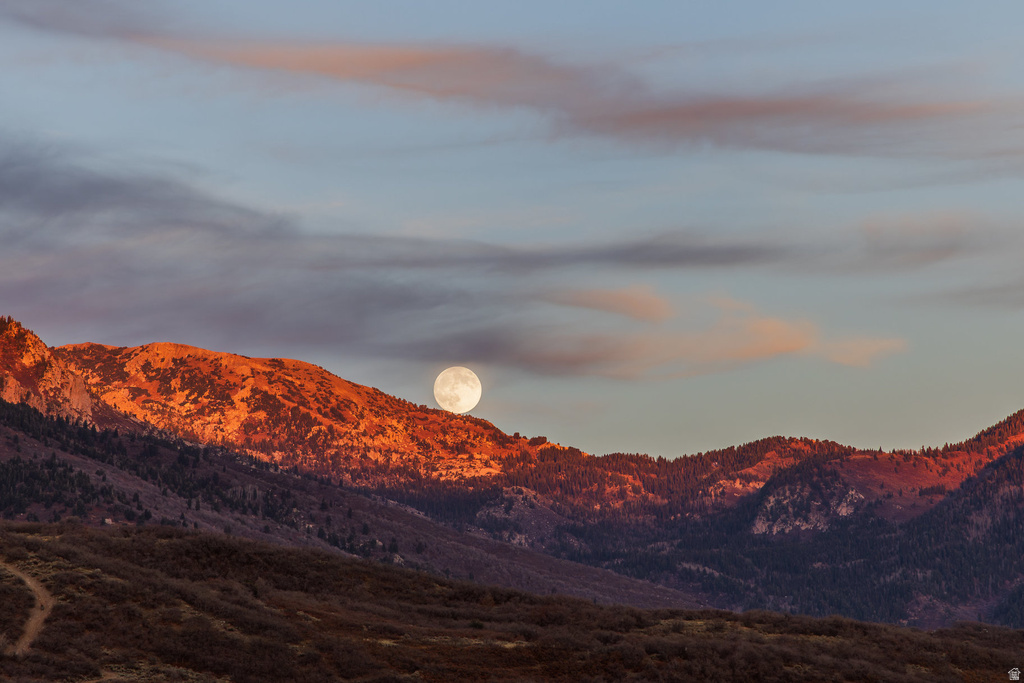 14749 S SPRINGTIME RD #620 Draper (UT Cnty), UT 84020